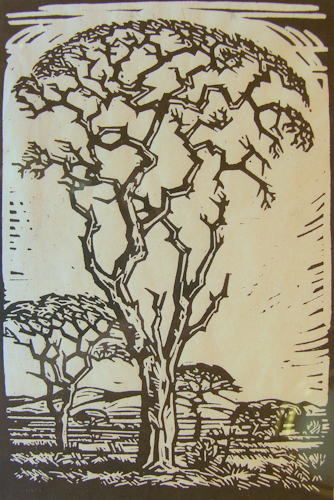 groot boom en landskap - J H Pierneef
201 x 304 mm linocut  SOLD
