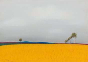 wheat fields - Pieter van der Westhuizen
490 x 690 mm (excluding frame) - pastel on paper - framed
